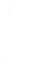 Spurs Logo